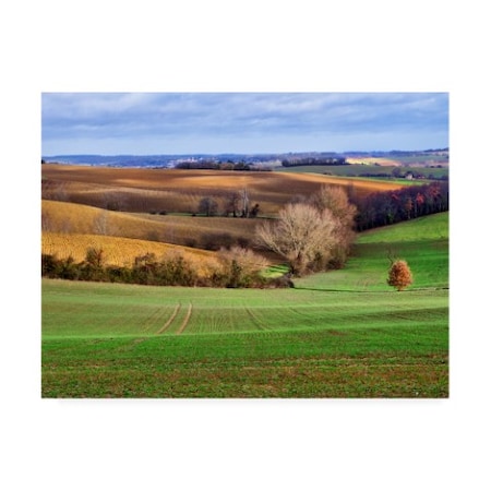 Colby Chester 'Pastoral Countryside Xvii' Canvas Art,35x47